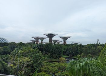 Gardens By Bay PHOTO CREDIT: Akesse Sanza