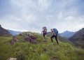 Understanding the New American Traveller to South Africa